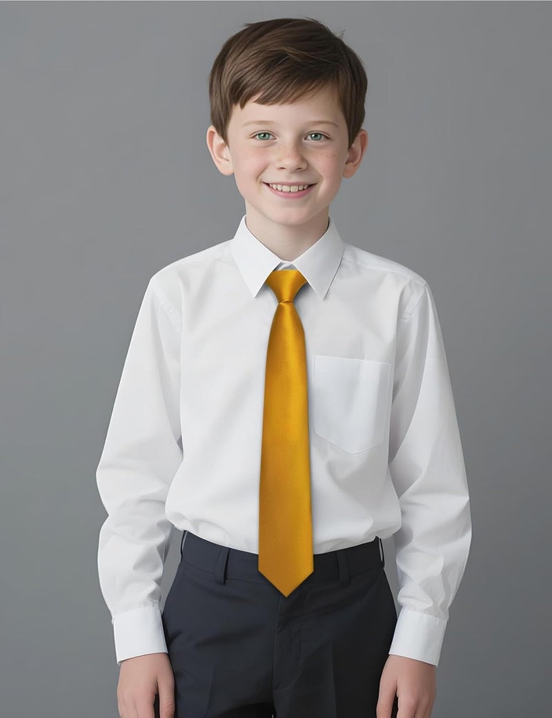 Ailisus Store Boys Tie Solid Color Silk Satin Pre-tied Kids Necktie for Age 8-12 Adjustable Formal Wedding School Graduation - Image 2